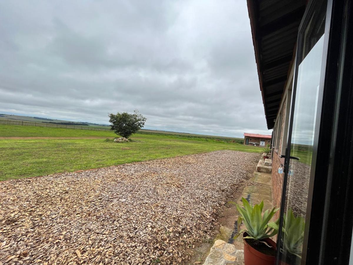 Dewdrop Farm Stay Ermelo Dış mekan fotoğraf